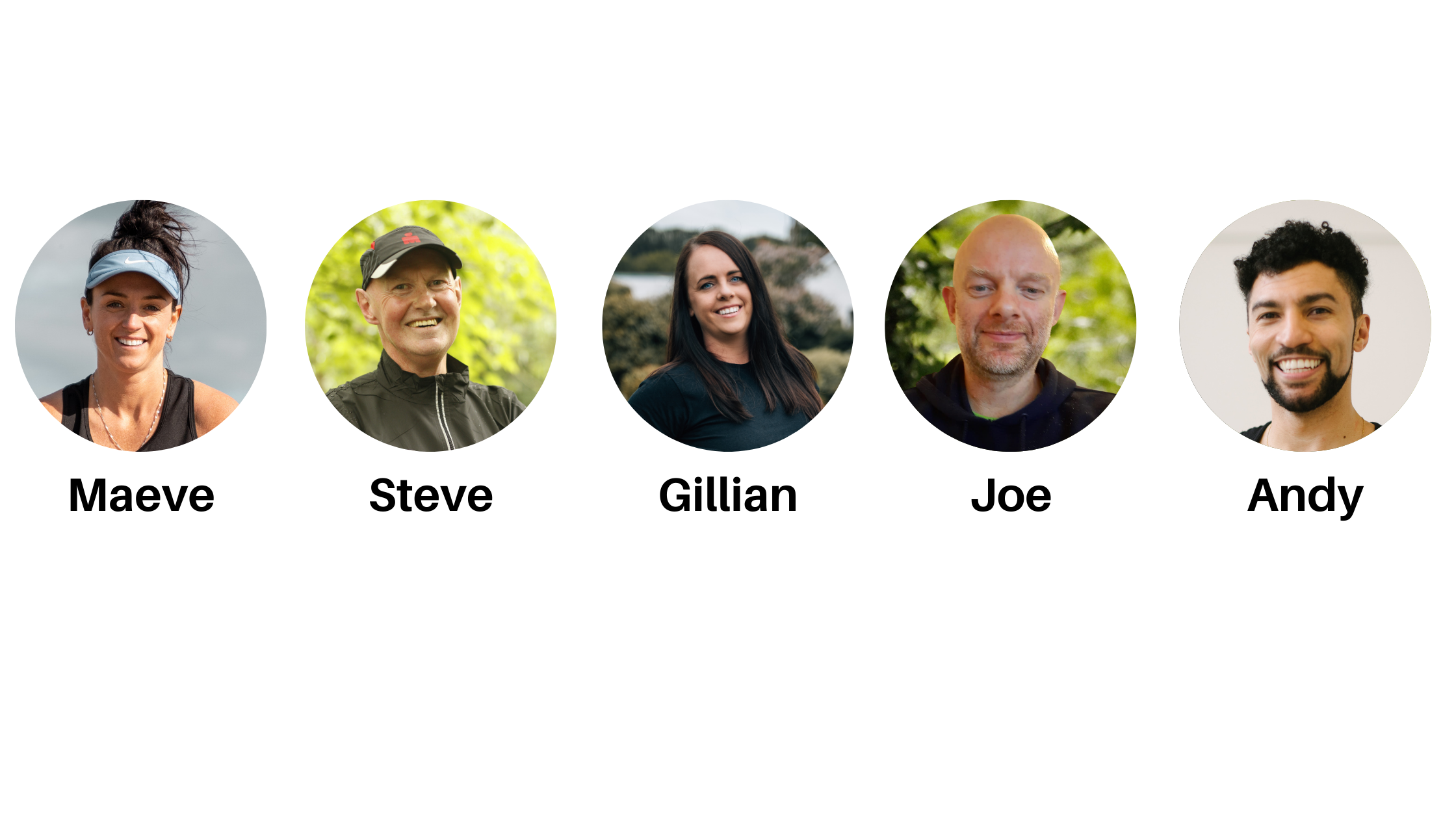 Meet the team